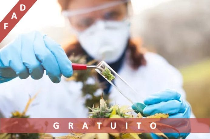 cannabis-terapeutica-FAD-ECM